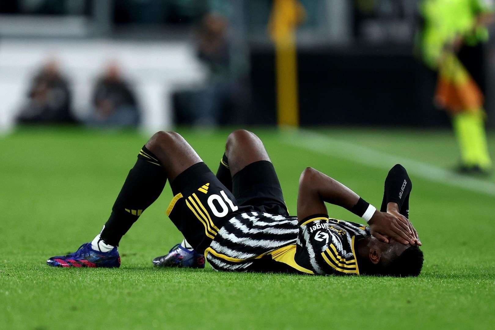 中国食品科学技术学会：保障特殊时期食品供应及安全